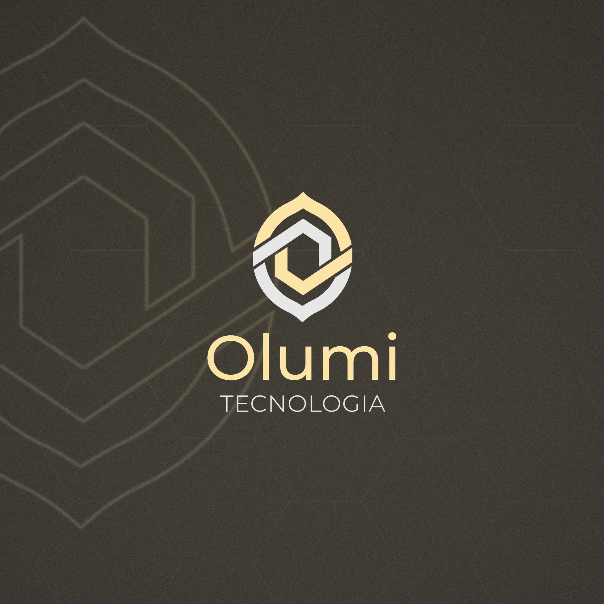 Olumi Tecnologia — Identidade Visual, imagem 1 de 10