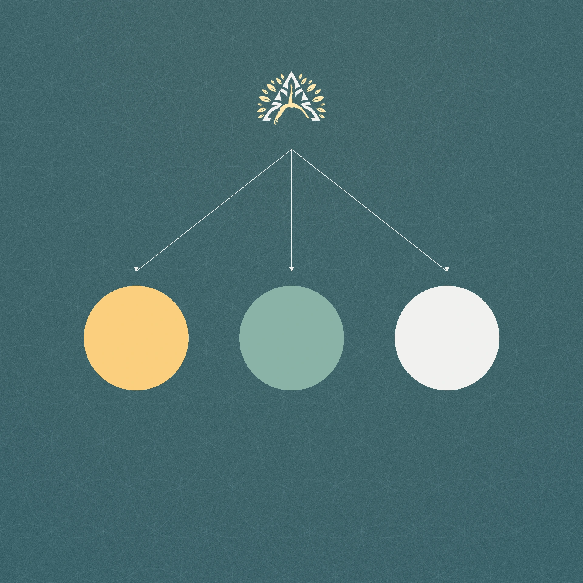 Árvora Studio de Pilates — Identidade Visual, imagem 4 de 13